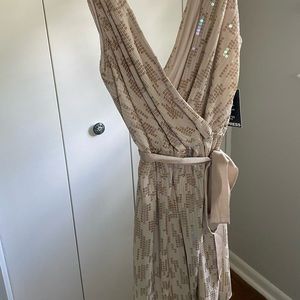 Express sequin dress